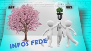 INFOS FEDE 25 /JUILLET 2025